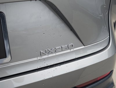 2024 Lexus NX 250 Base