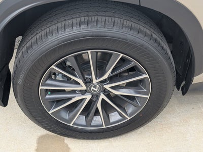 2024 Lexus NX 250 Base