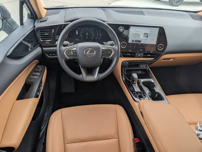 2024 Lexus NX 250 Base