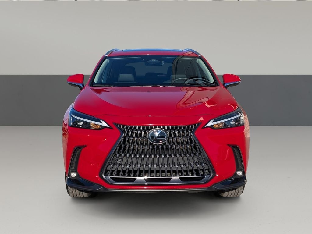 2025 Lexus NX 250 Premium