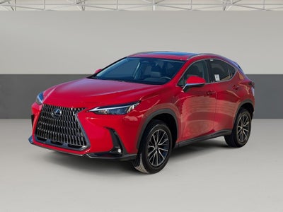 2025 Lexus NX 250 Premium