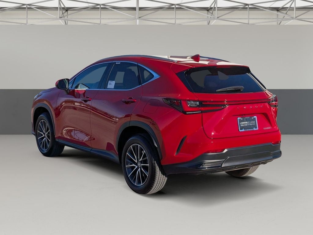 2025 Lexus NX 250 Premium