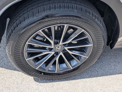 2025 Lexus NX 250 Premium