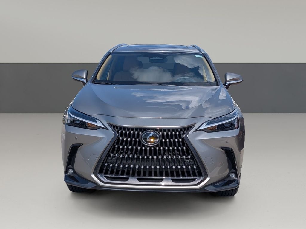 2025 Lexus NX 250 Premium