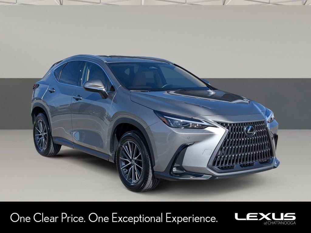 2025 Lexus NX 250 Premium
