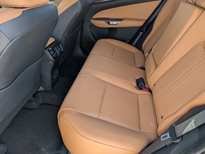 2025 Lexus NX 250 Premium