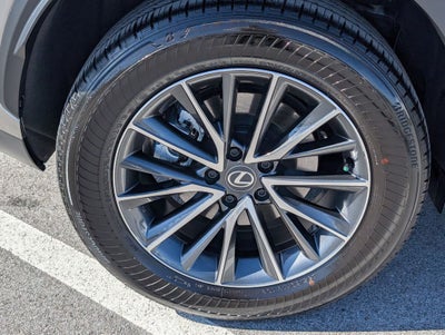 2025 Lexus NX 250 Premium