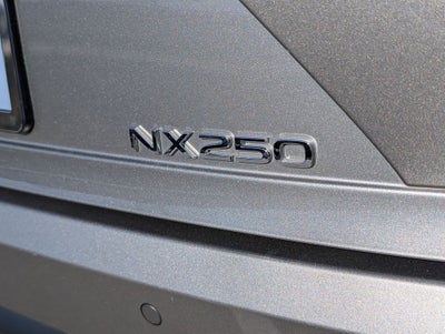 2025 Lexus NX 250 Premium