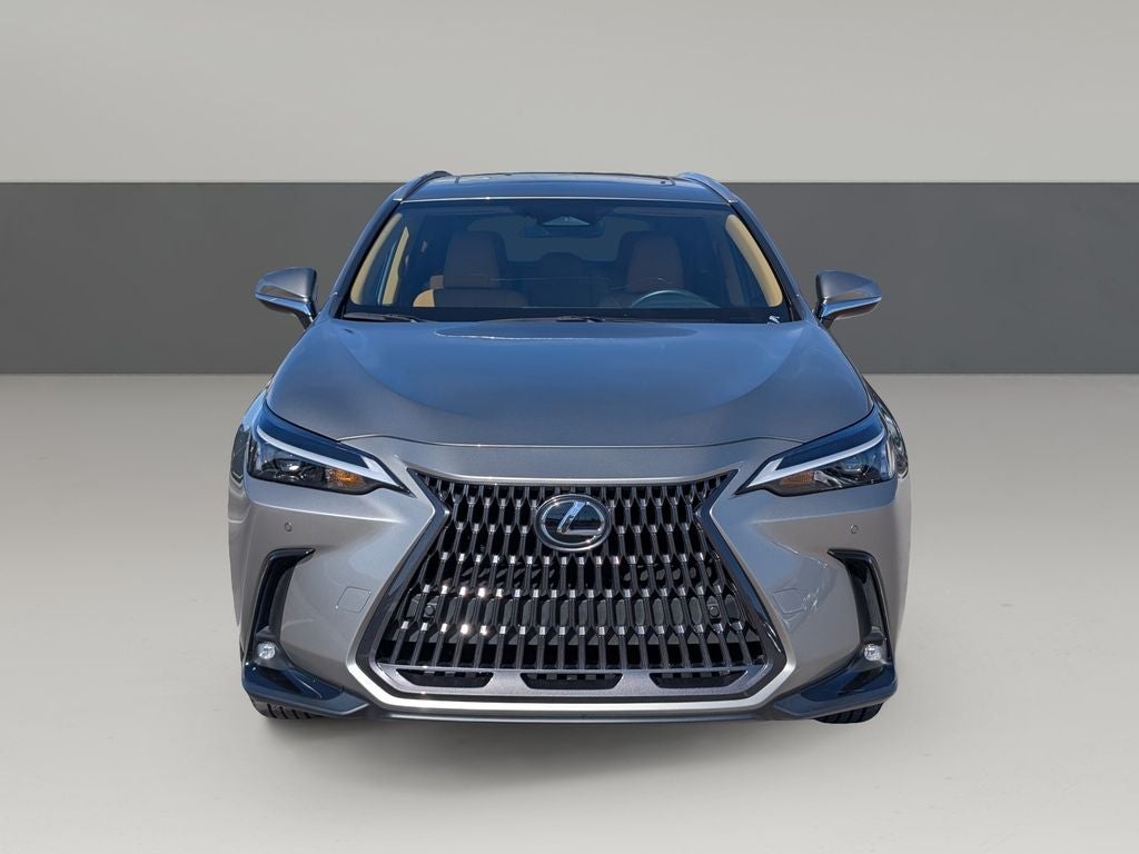 2025 Lexus NX 250 Premium