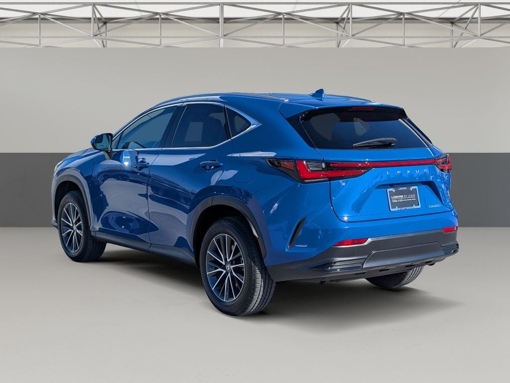 2025 Lexus NX 250 Premium