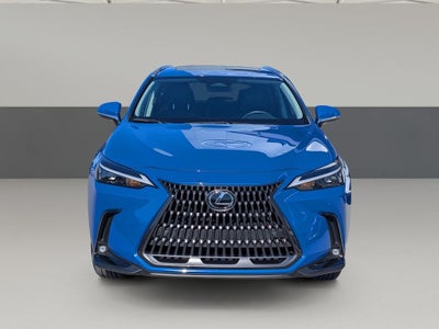 2025 Lexus NX 250 Premium