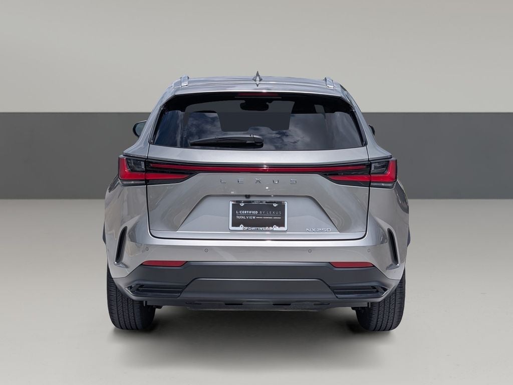 2025 Lexus NX 250 Premium