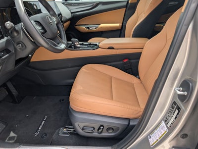 2025 Lexus NX 250 Premium