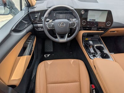 2025 Lexus NX 250 Premium