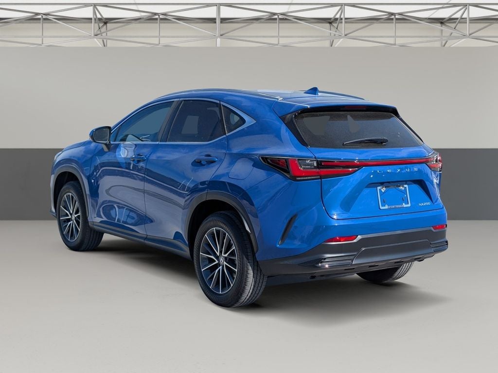 2025 Lexus NX 250 Premium