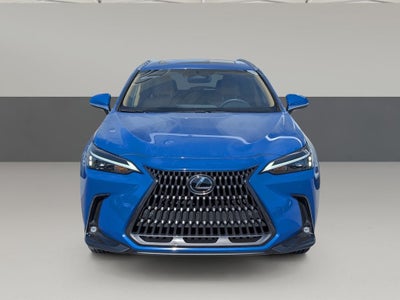 2025 Lexus NX 250 Premium
