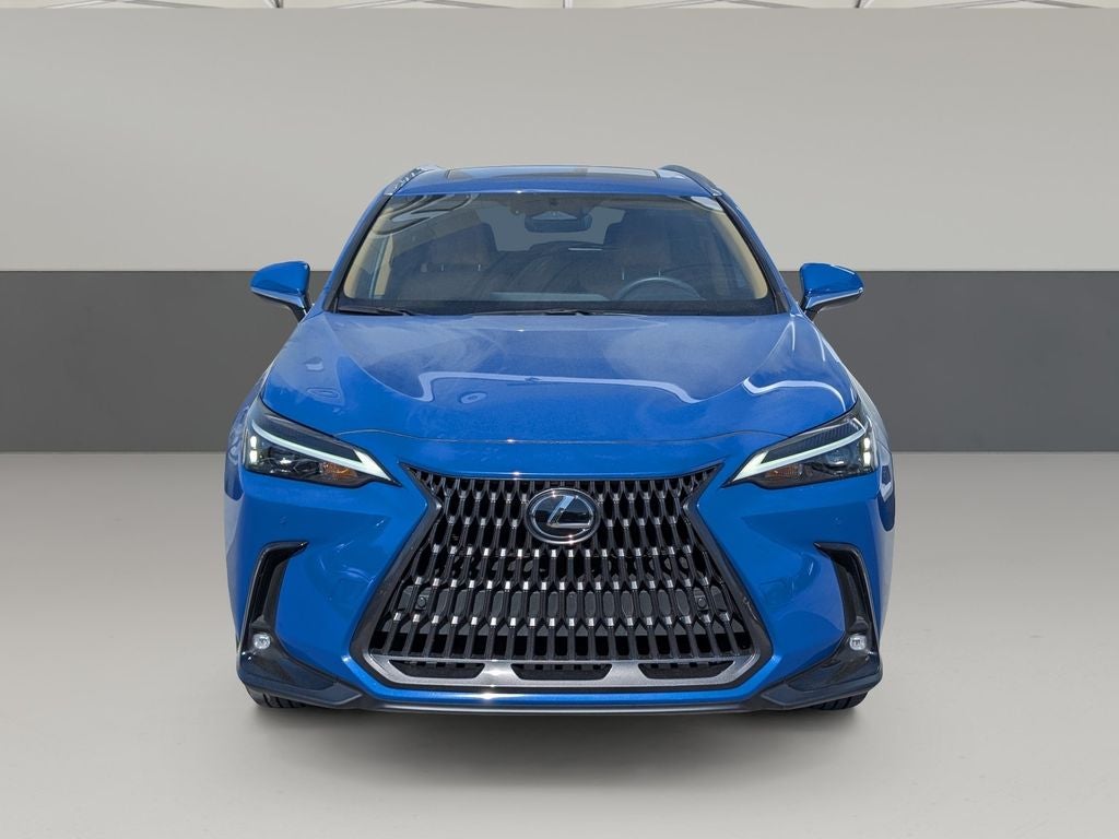 2025 Lexus NX 250 Premium