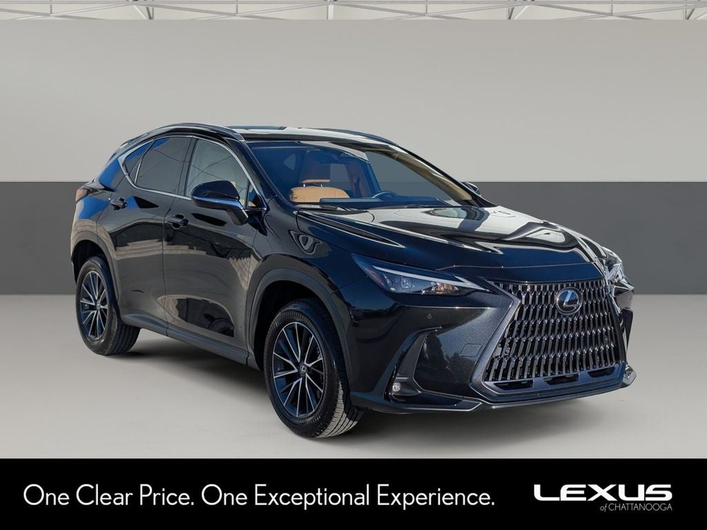 2025 Lexus NX 250 Premium