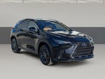 2025 Lexus NX 250 Premium