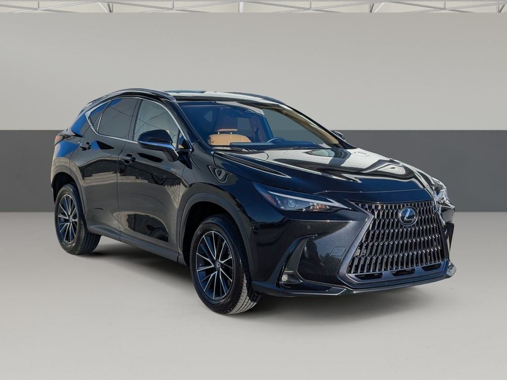 2025 Lexus NX 250 Premium