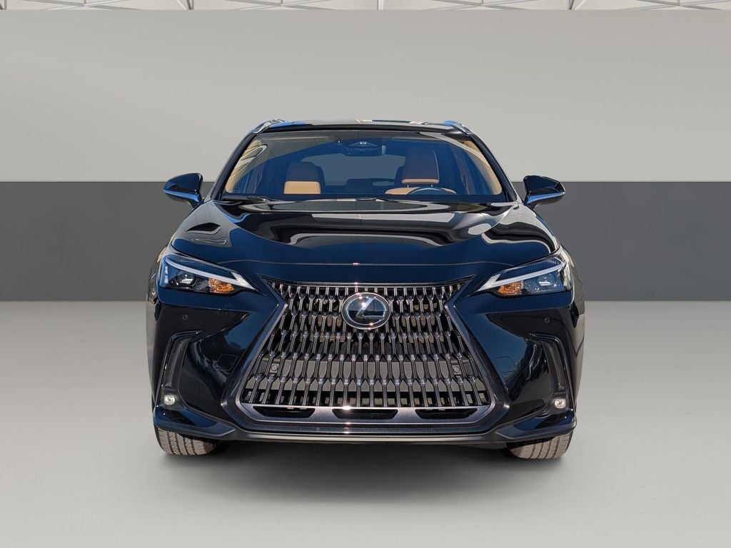 2025 Lexus NX 250 Premium