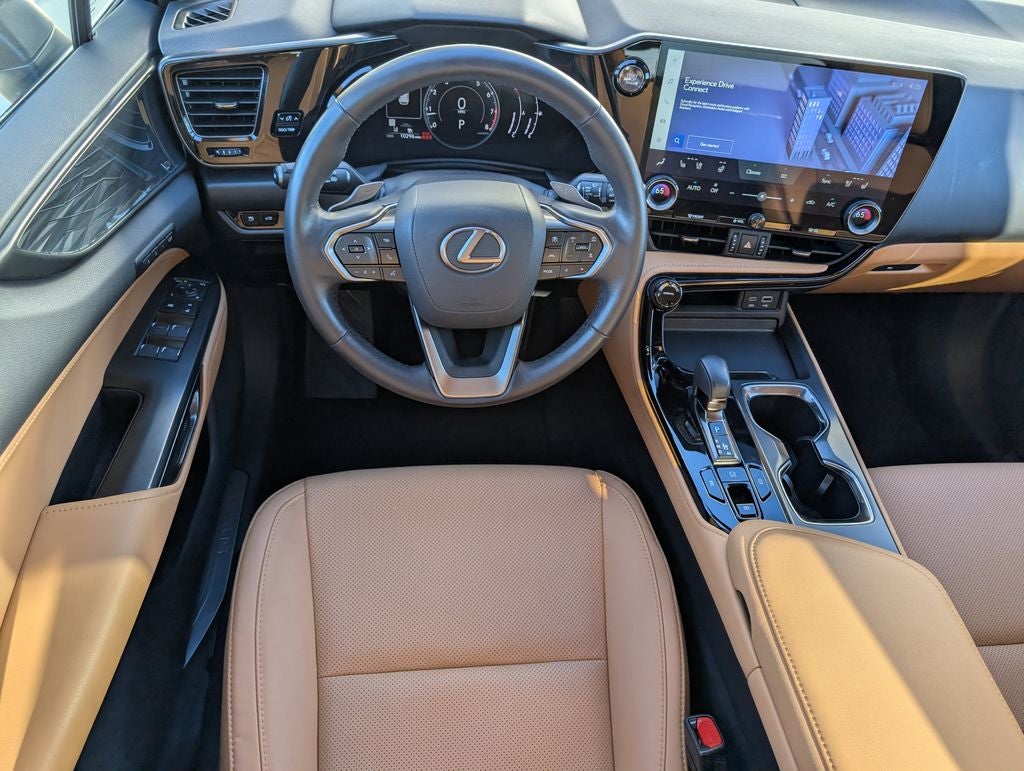 2025 Lexus NX 250 Premium