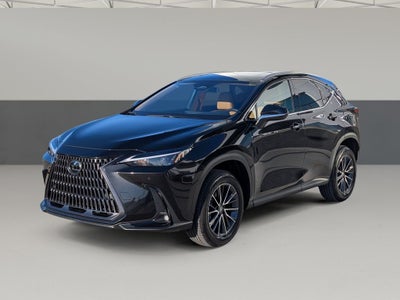 2025 Lexus NX 250 Premium