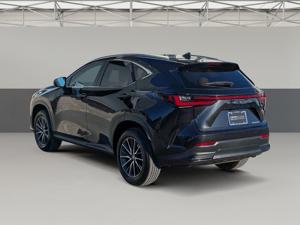 2025 Lexus NX 250 Premium