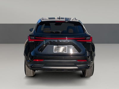 2025 Lexus NX 250 Premium