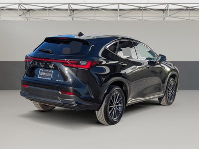 2025 Lexus NX 250 Premium