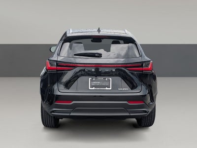 2025 Lexus NX 250 Premium