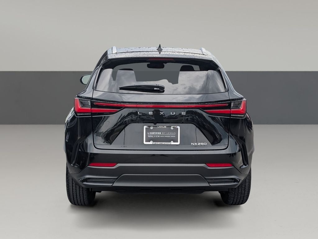 2025 Lexus NX 250 Premium