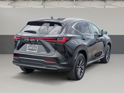 2025 Lexus NX 250 Premium