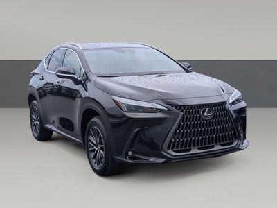 2025 Lexus NX 250 Premium