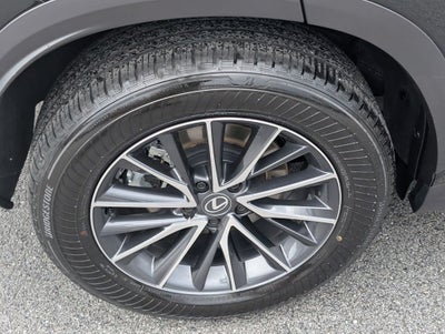 2025 Lexus NX 250 Premium