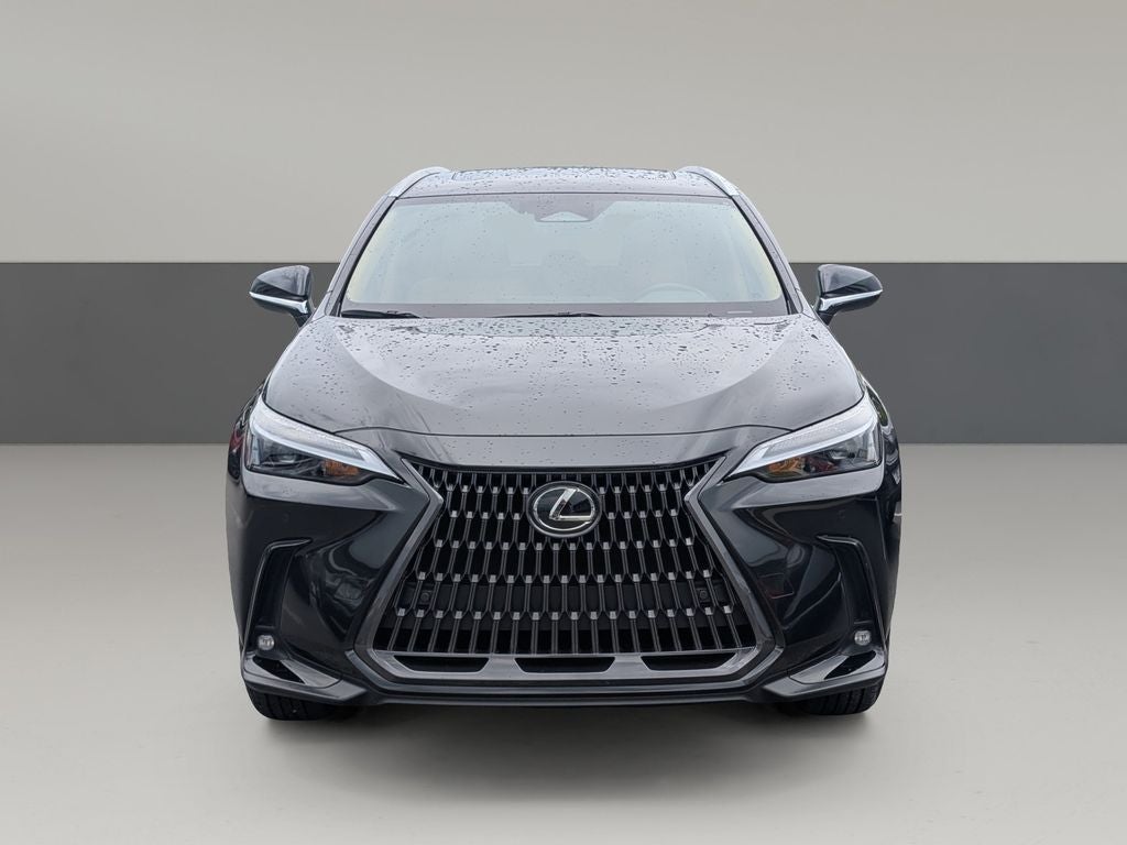 2025 Lexus NX 250 Premium