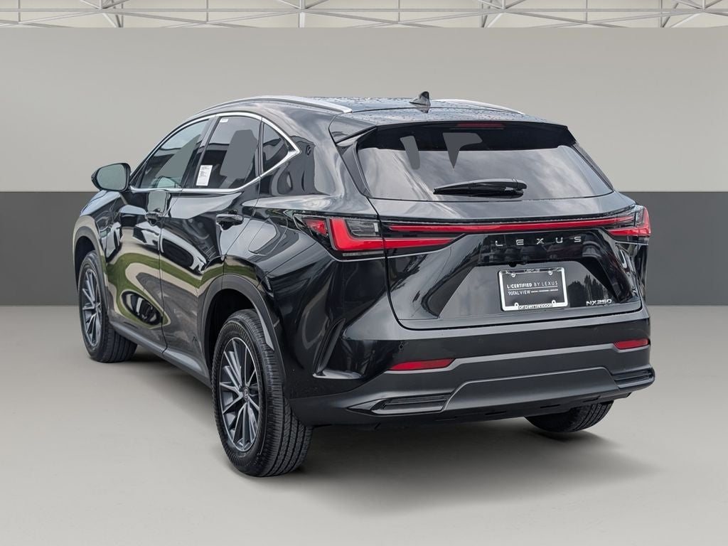 2025 Lexus NX 250 Premium