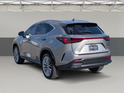 2025 Lexus NX 350 Premium
