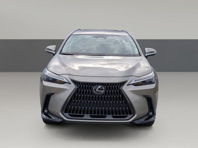 2022 Lexus NX 350 Premium