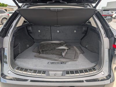2025 Lexus NX 350 Luxury