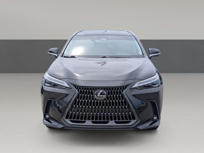 2025 Lexus NX 350 Luxury