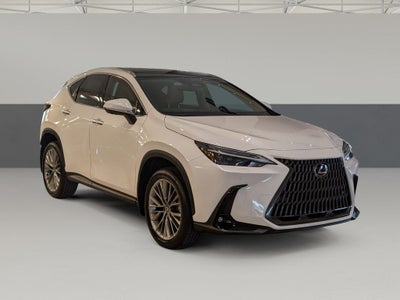 2026 Lexus NX 350h Luxury