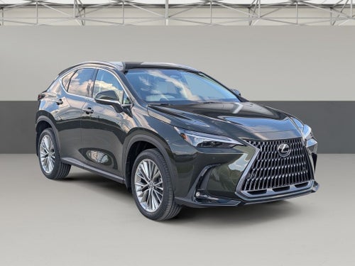 2026 Lexus NX 350h Luxury