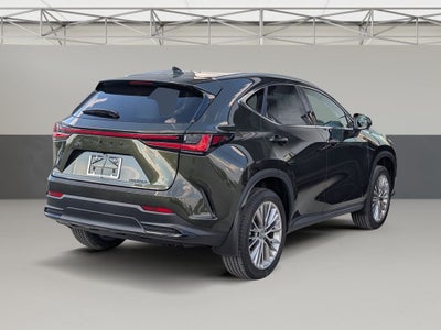 2026 Lexus NX 350h Luxury