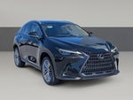 2023 Lexus NX 350h Luxury