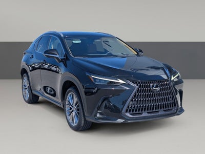 2023 Lexus NX 350h Luxury