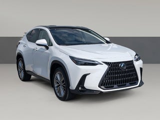 2026 Lexus NX 350 Luxury