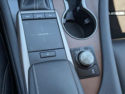 2021 Lexus RX 350L