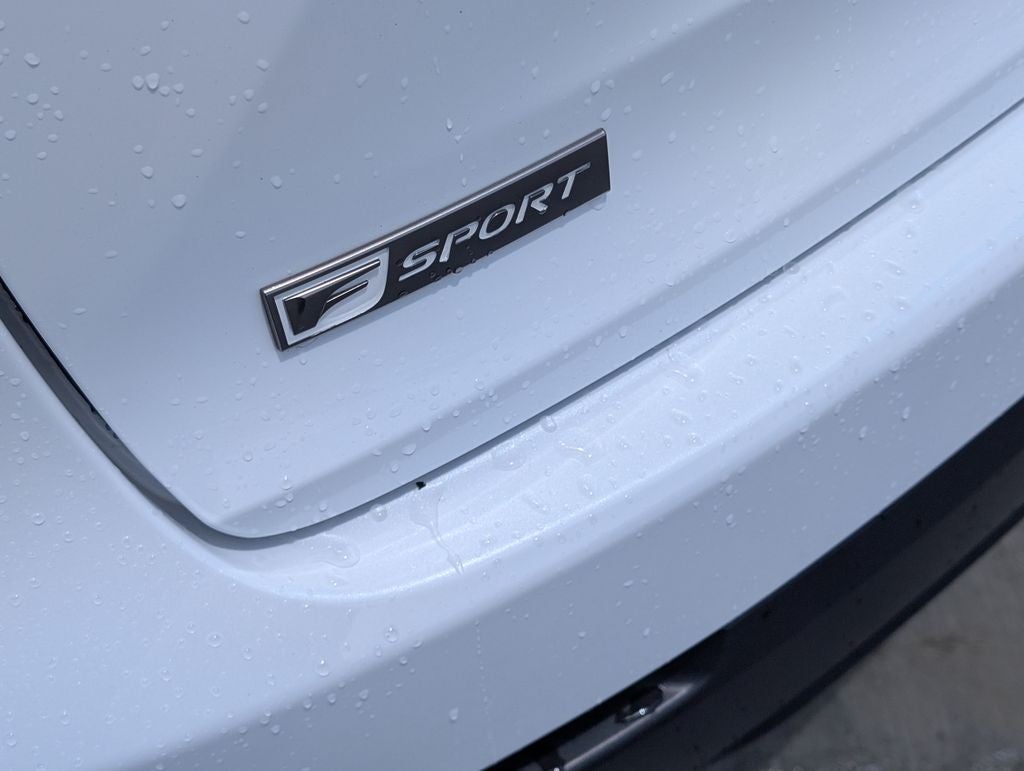 2020 Lexus NX 300 F Sport