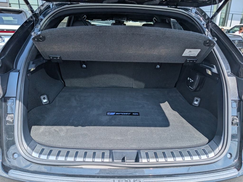 2021 Lexus NX 300 F Sport